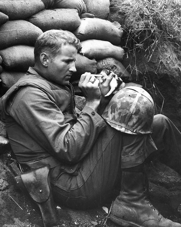 10+ Photos Of Soldiers With The Cat They Became Friends With, While On Duty