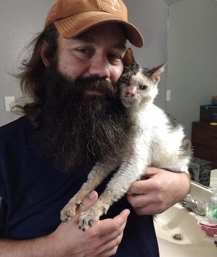 The happiness of abandoned cat