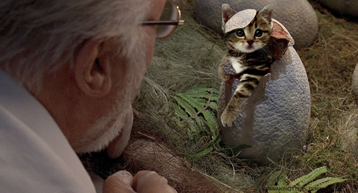 Jurassic Park’s Dinosaurs Replaced With Cats, And It’s Hilarious