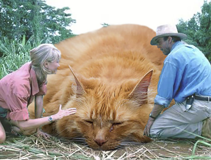 Jurassic Park’s Dinosaurs Replaced With Cats, And It’s Hilarious