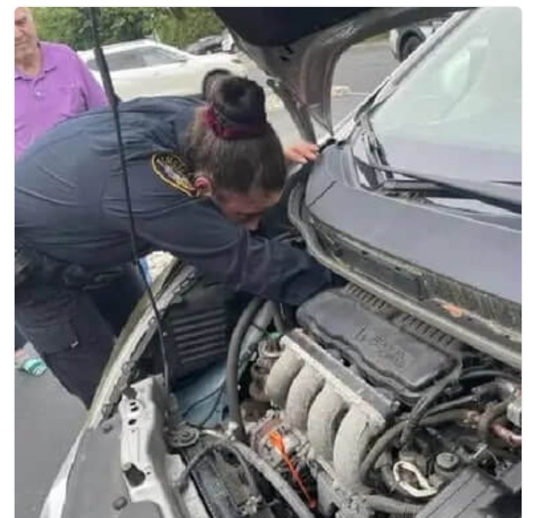  Kindhearted policemen took care of a tiny kitten found from a car engine section: soon he was adopted