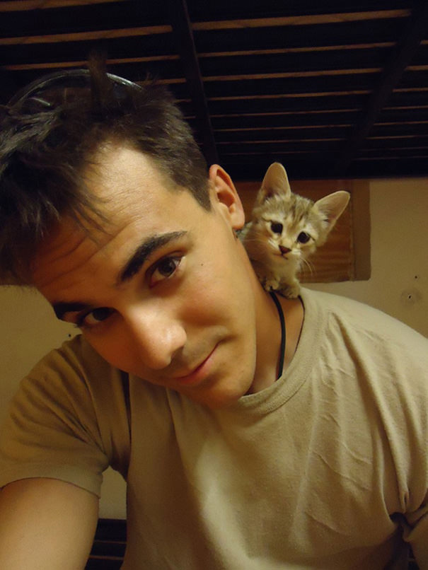 10+ Photos Of Soldiers With The Cat They Became Friends With, While On Duty