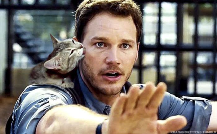 Jurassic Park’s Dinosaurs Replaced With Cats, And It’s Hilarious