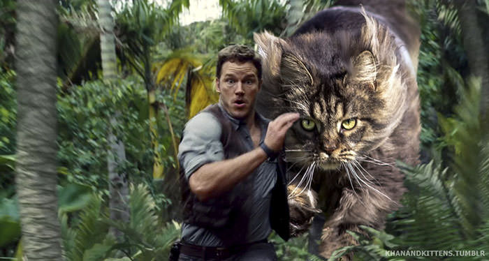 Jurassic Park’s Dinosaurs Replaced With Cats, And It’s Hilarious