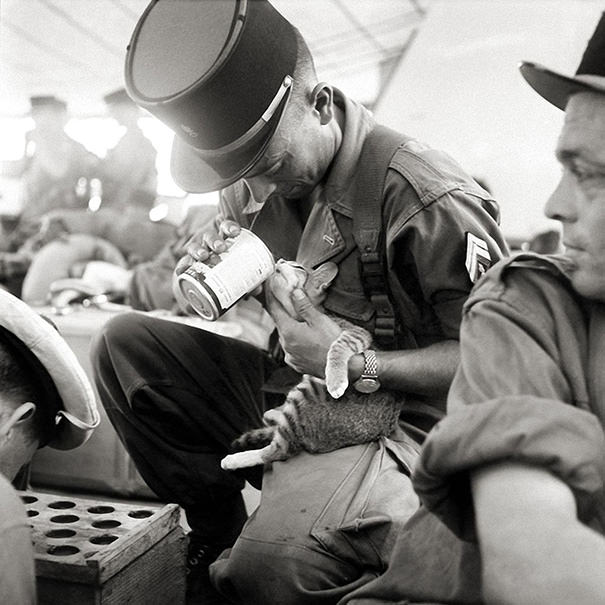 10+ Photos Of Soldiers With The Cat They Became Friends With, While On Duty