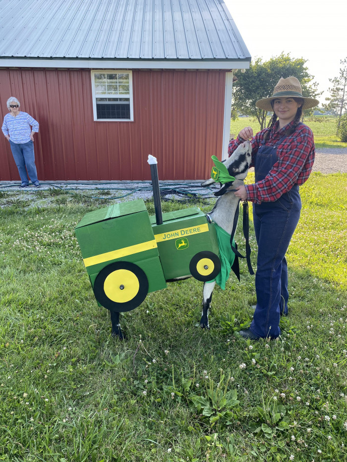 25. Just thought y’all would enjoy my goat dressed as a tractor