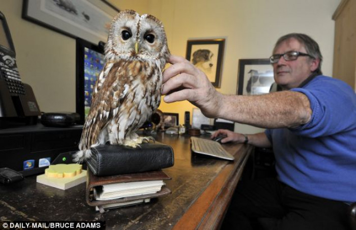 Bertie sits with Mr. Middleton while he works on his computer