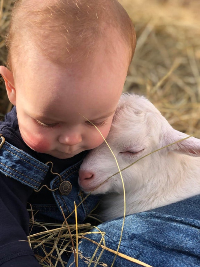 29. It’s my son’s first kidding season. I think he is going to be a great goat farmer.